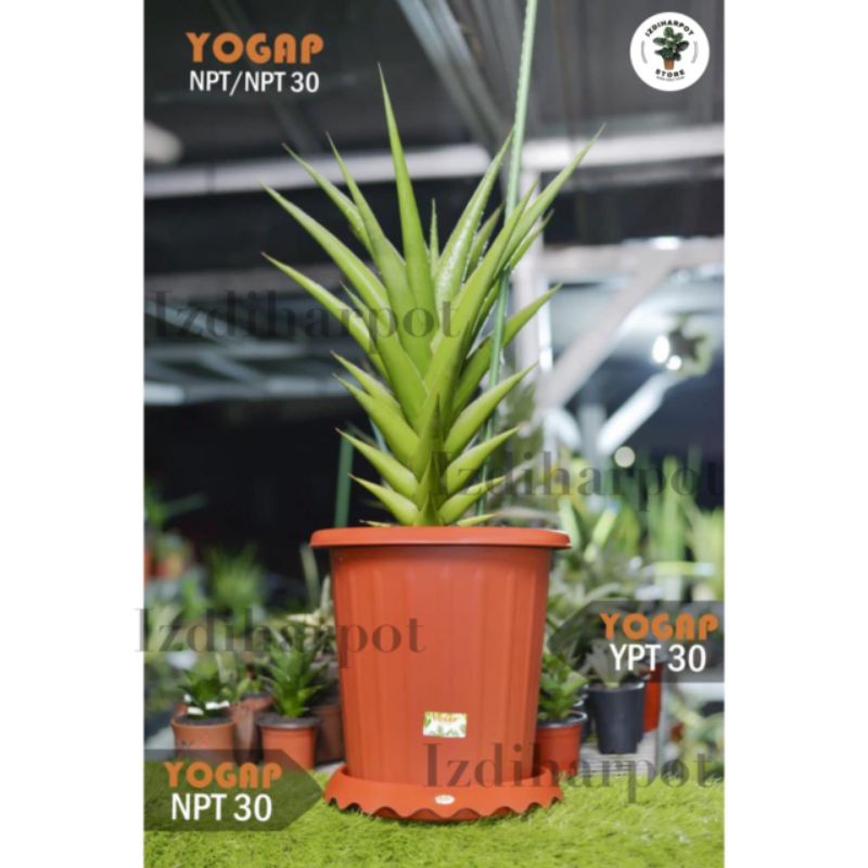 pot bunga tanaman tinggi yogap YPT 30 bahan tebal + tatakan npt 30