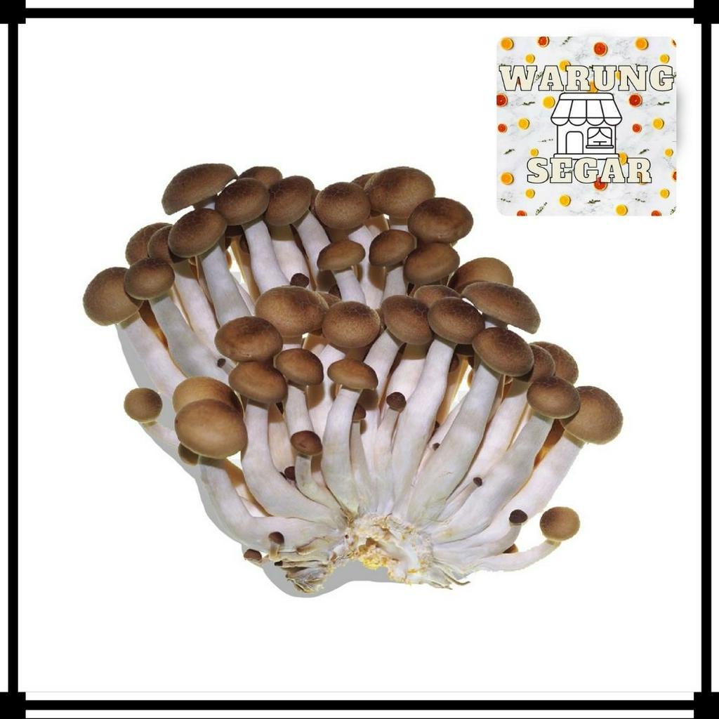 

Jamur Shimeji - Per 1 Pack WarungSeger