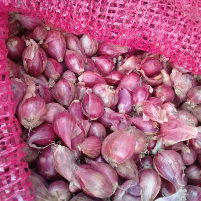 

Bawang Merah/Bawang Merah Brebes