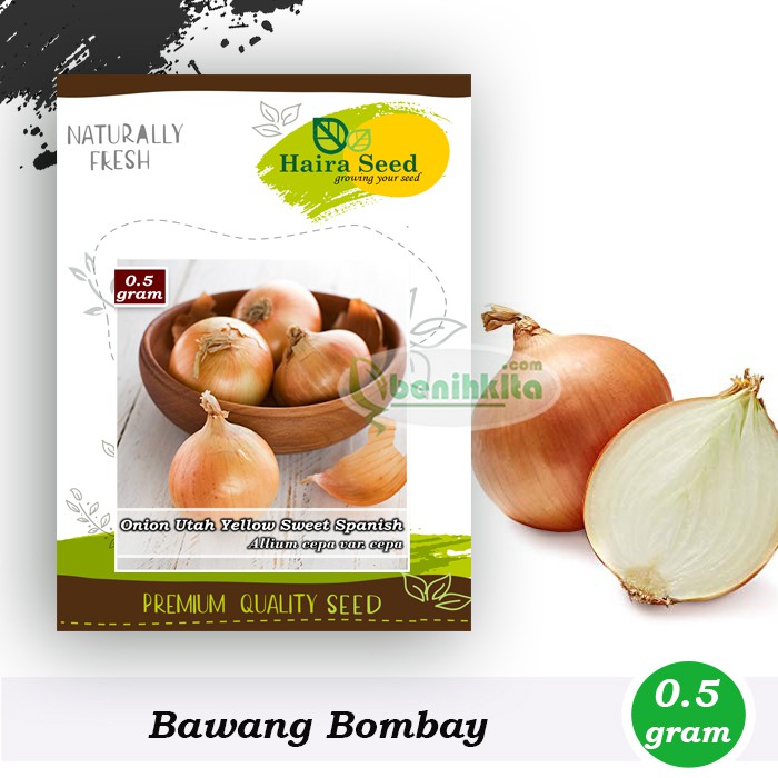Benih-Bibit Bawang Bombay Utah Yellow Sweet Spanish (Haira Seed)