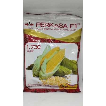 Benih Jagung Manis Perkasa F1 isi 1750 Butir