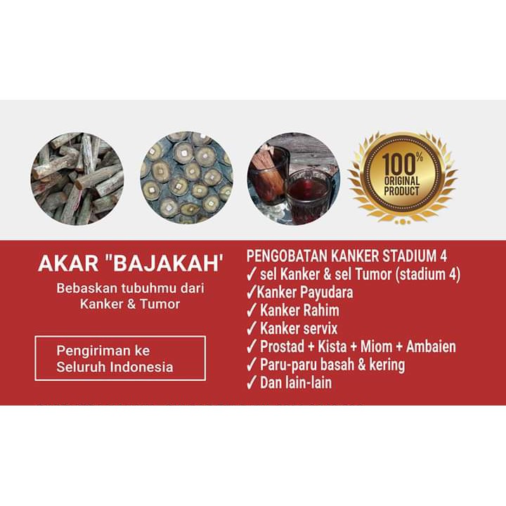 

Bajakan asli kalimantan 1kg