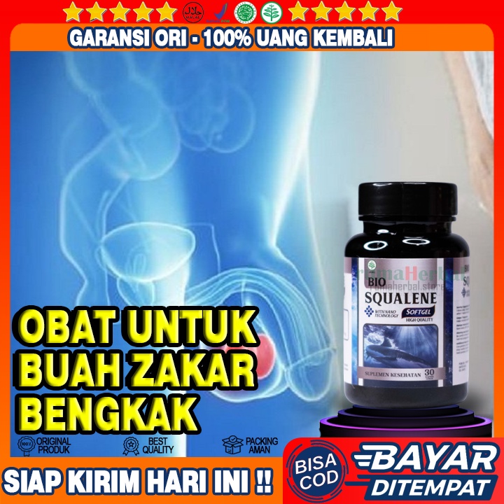 Obat Buah Zakar Bengkak - Obat Biji Zakar Bengkak - Obat Biji Jakar Bengkak - Obat Alami Buah Zakar 