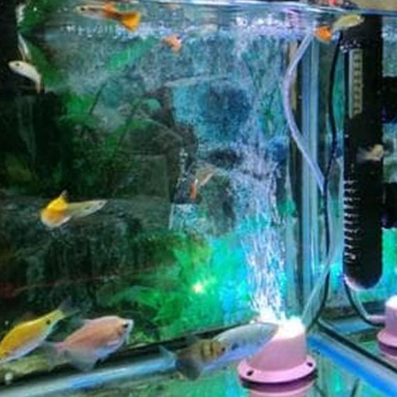 Horisea Mini Colorful Bubble Lamp Lampu gelembung udara AeratorAquarium