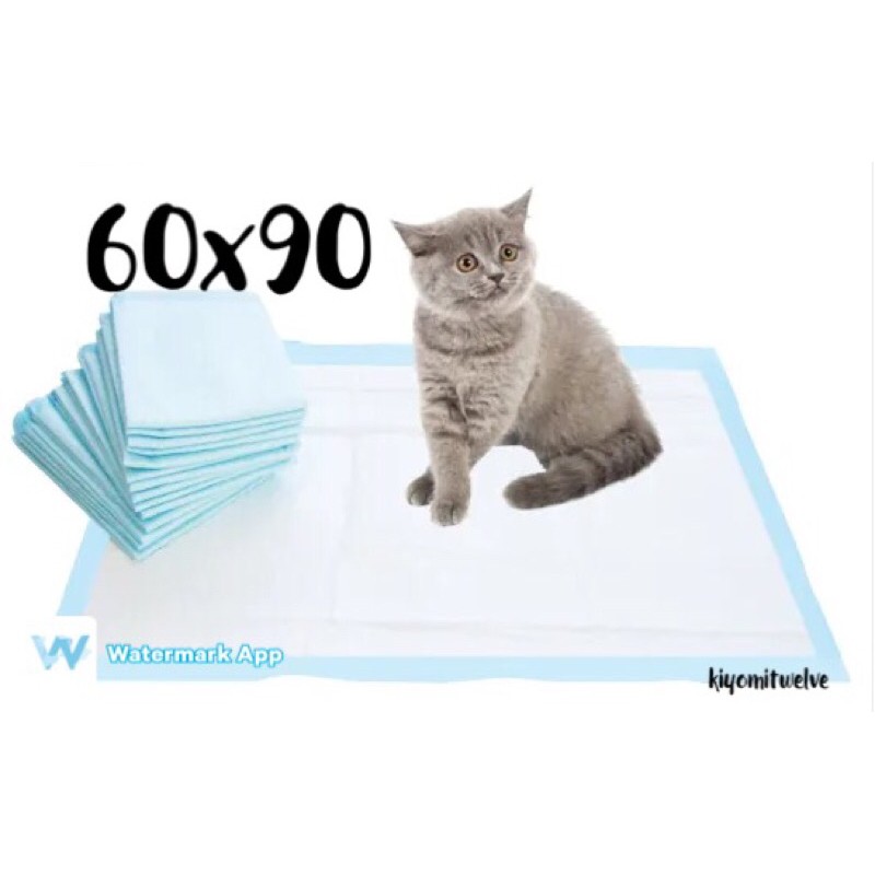 Underpad Kucing Anjing 60x90 Besar Jumbo 60 x 90 Alas kandang pup pipis kucing anjing kelinci