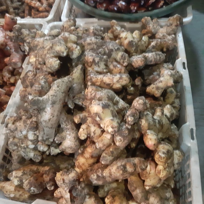 

Jahe Putih Besar/Jahe Jumbo Fresh 1/2kg (500gram)