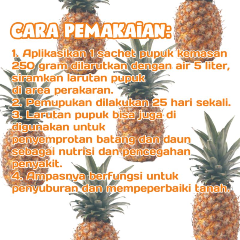 Revando45 Pupuk Perangsang Pelebat Buah Nanas, Booster Organik Tanaman Buah Nanas, Dan Memperbesar