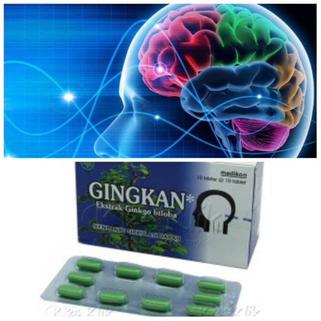 Gingkan Nutrisi otak Terbaik