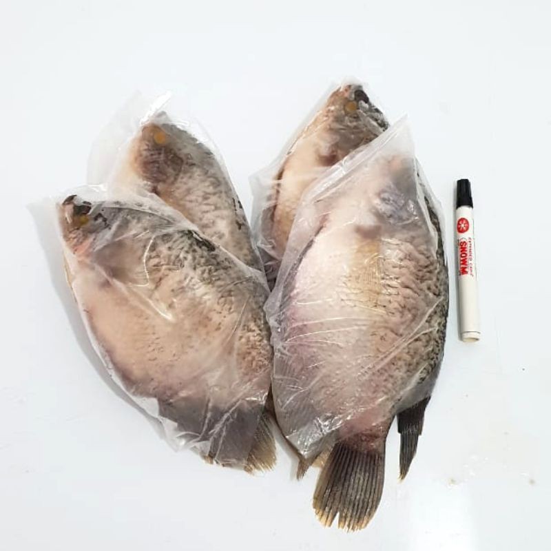Ikan Gurame/Gurame frozen tanpa sisik dan isian perut