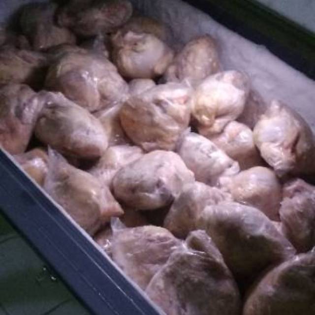 

Ayam Broiler karkas frozen segar 500 gr s/d 1000 gr