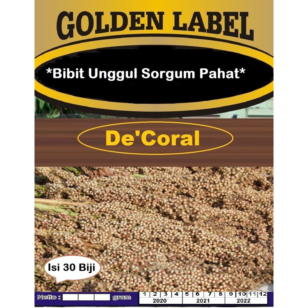 Bibit Unggul Sorgum Pahat | Benih Sorgum Pahat