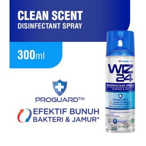 WIZ24 / WIZ 24 DISINFECTANT SPRAY AEROSOL 300ML