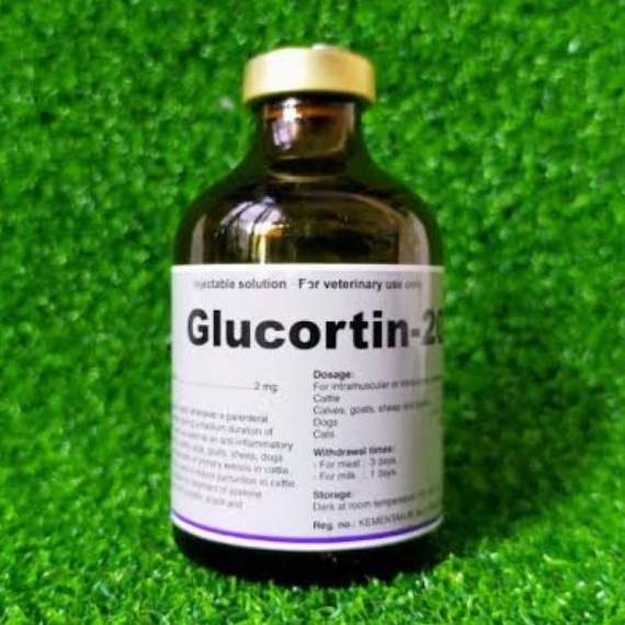 Glucortin anti radang hewan