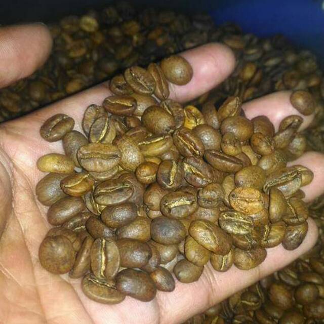 Kopi Arabika Bali Kintamani