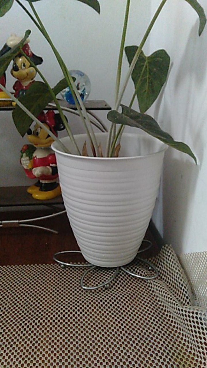 Pot Bunga Plastik Putih Tawon Tirus / Pirus 18 Cm