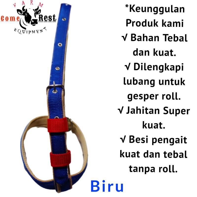 Head Halter Sapi Warna