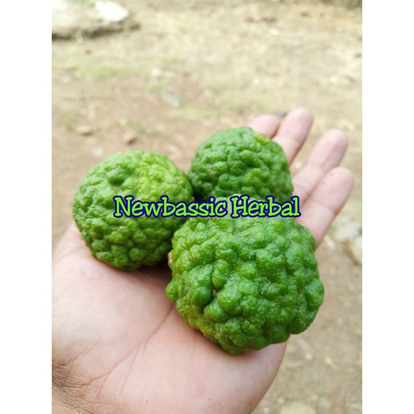 

buah jeruk purut fresh