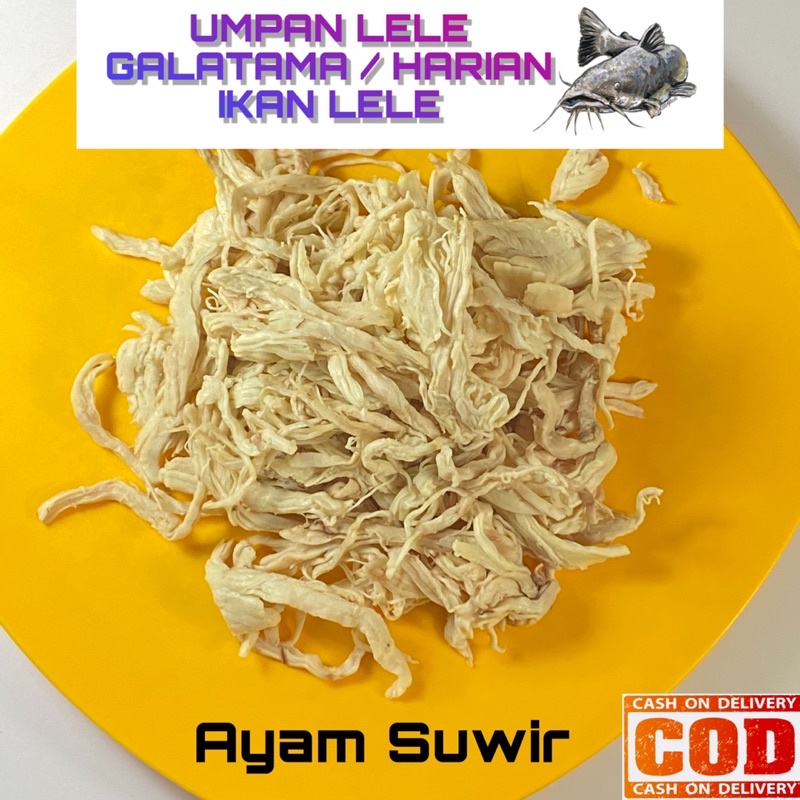 AYAM SUWIR / SUIR 150g UNTUK UMPAN PANCING GALATAMA LELE/ HARIAN. CAMPURAN LEMAK KUDA DAN ESSEN