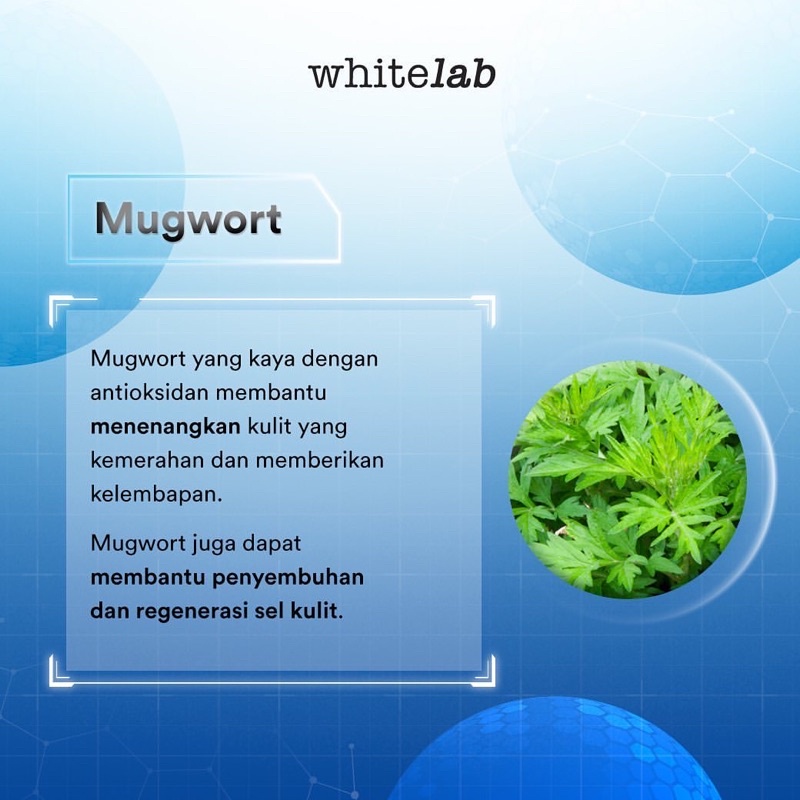 Whitelab Cera-Mug Barrier Moisturizing Gel - Whitelab Surabaya