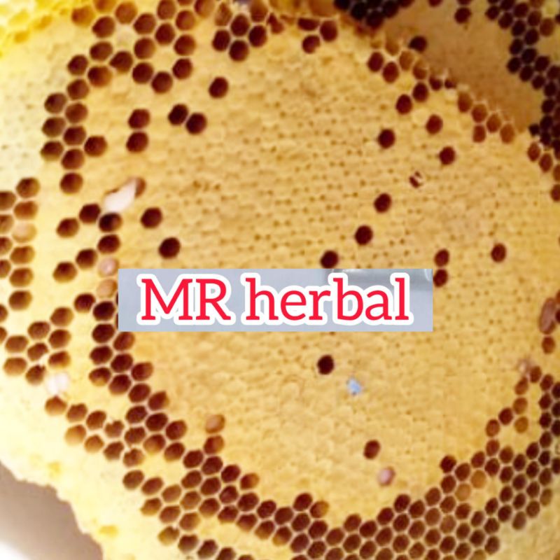 

Telur lebah asli larva lebah segar fres