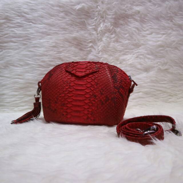 Cluth kulit ular asli