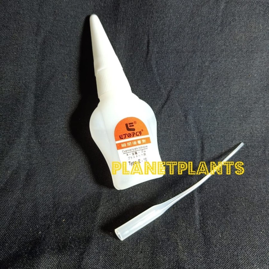 LEM KOREA ETOPCY AQUARIUM AQUASCAPE