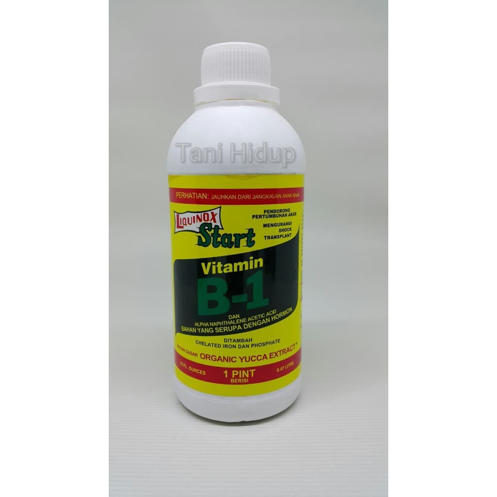 Pupuk Liquinox Start Vitamin B1 kemasan 1 pint