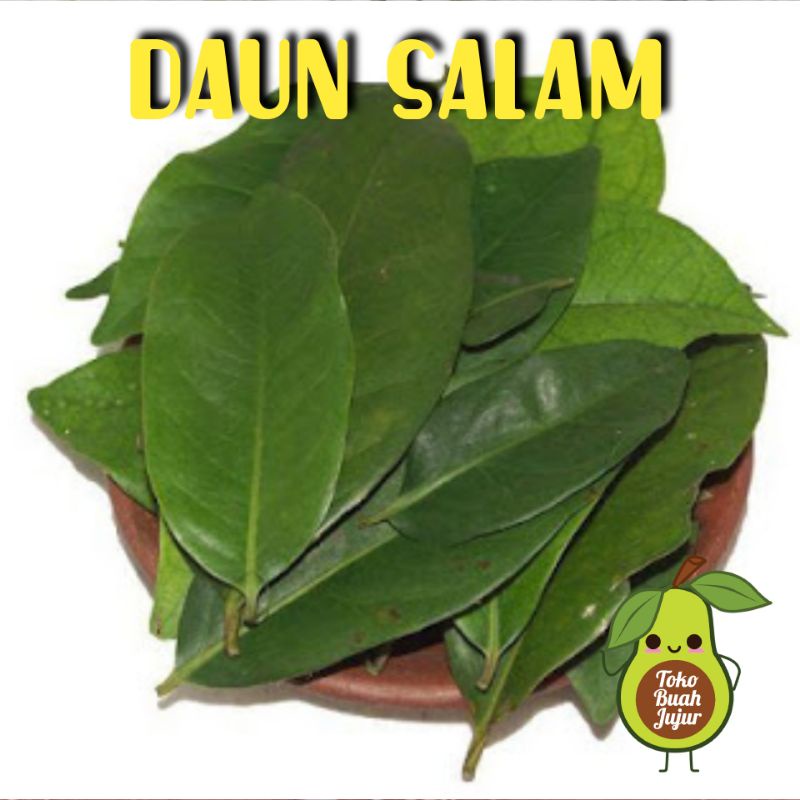 

DAUN SALAM 100Gr