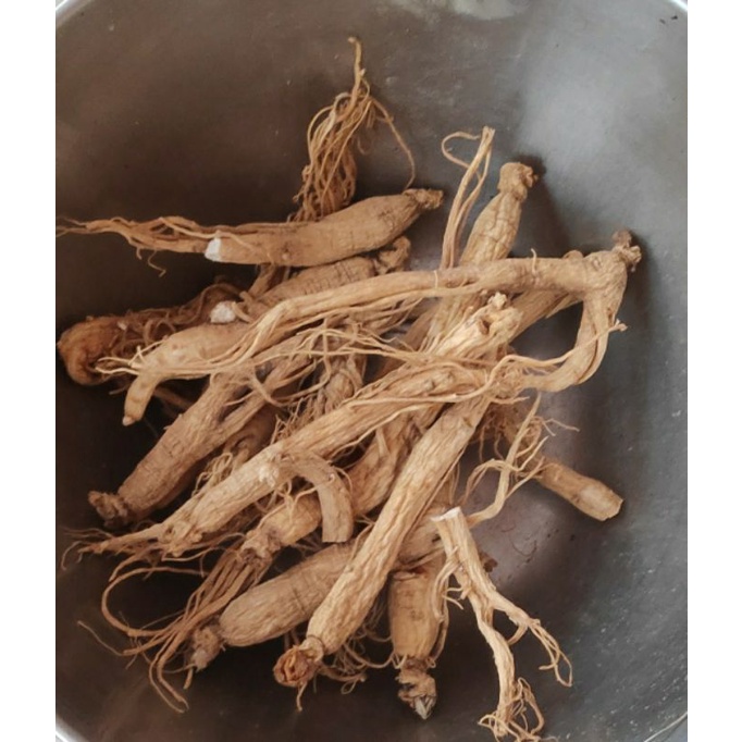 

100gr Ginseng Liar Kering Impor Gunung Chang Bai