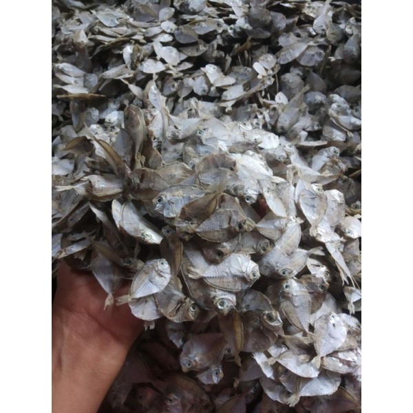 

ikan karonga