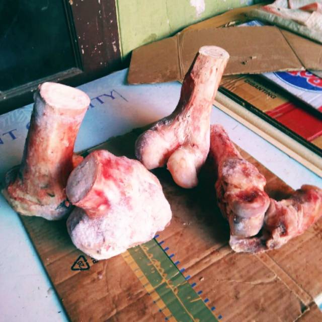 

Tulang sumsum sapi per kilo