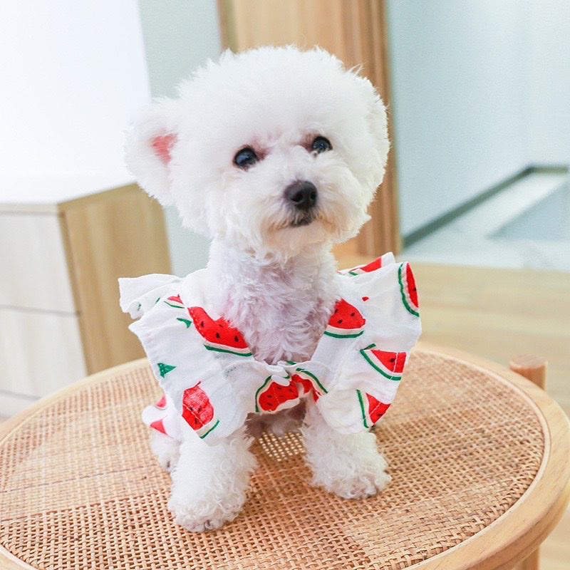 Korea watermelon ruffle jumper