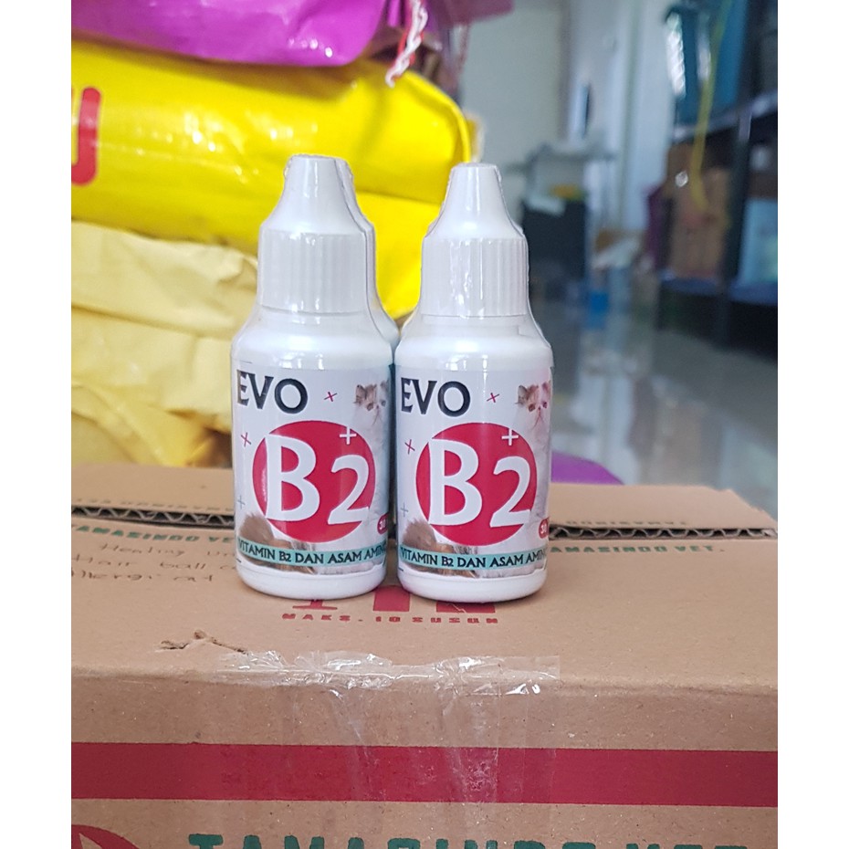 Evo b2  Bulu Rontok Kucing Vitamin B2 Asam Amino