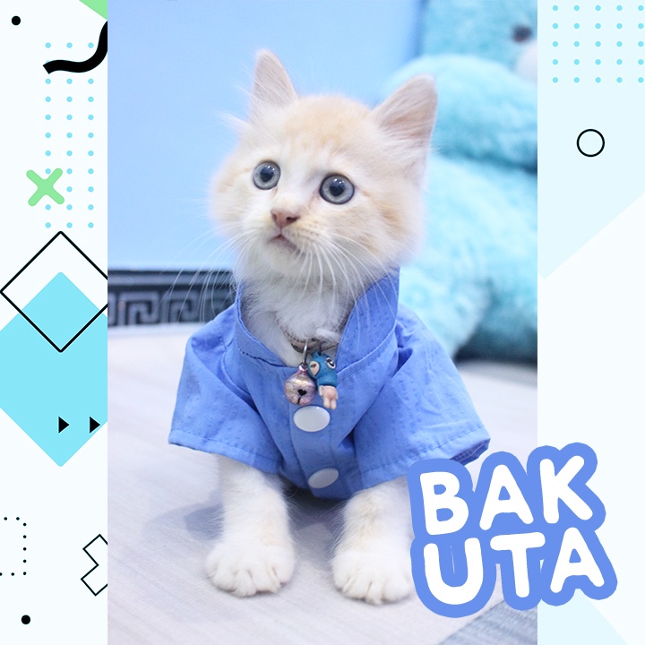 Bakuta - Baju Koko Kucing Lebaran Terlaris Sepanjang Massa / Baju kucing Harga Spesial Size S-XL