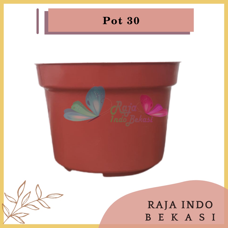 Pot 30 Putih Hitam Merah Bata Coklat Terraccota Terakota Polos Pot Bunga Pot 30 Murah Grosir Lusinan Pot 30 Putih Polos Murah Grosir