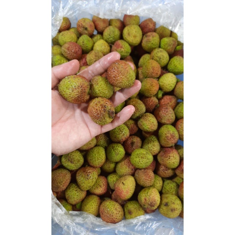 Buah leci 1kg atau 500gram