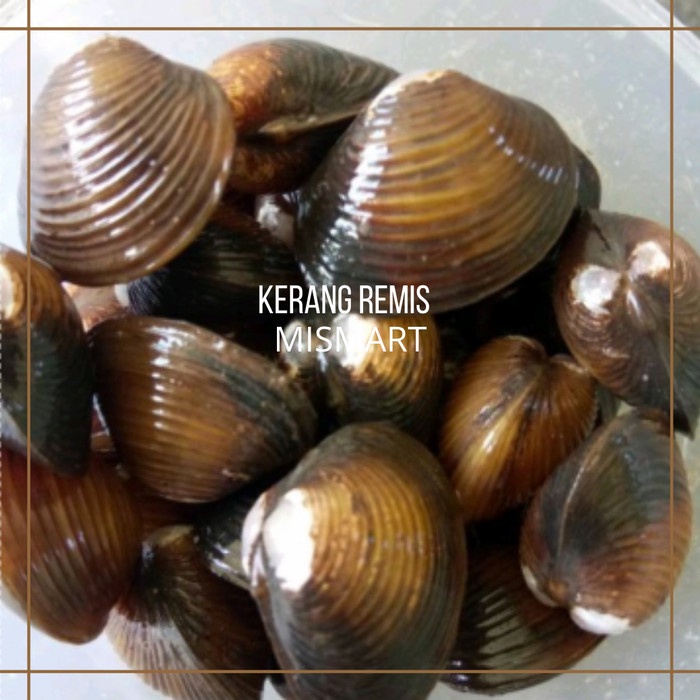 

REMIS SEGAR - 500gr - 500gr