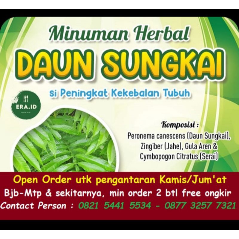 

Minuman Herbal Daun Sungkai