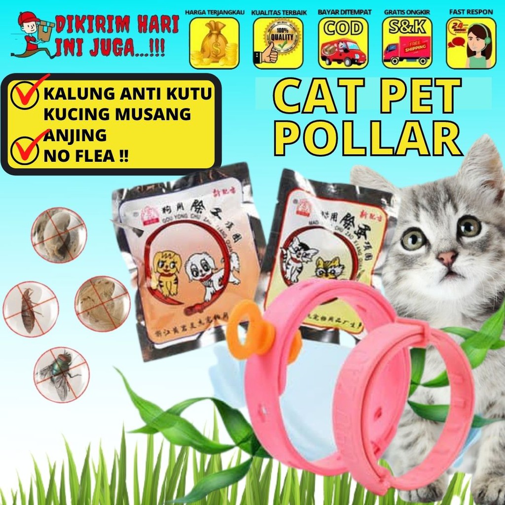 Kalung Anti Kutu Kucing Anjing No Flea Pink FEFARM