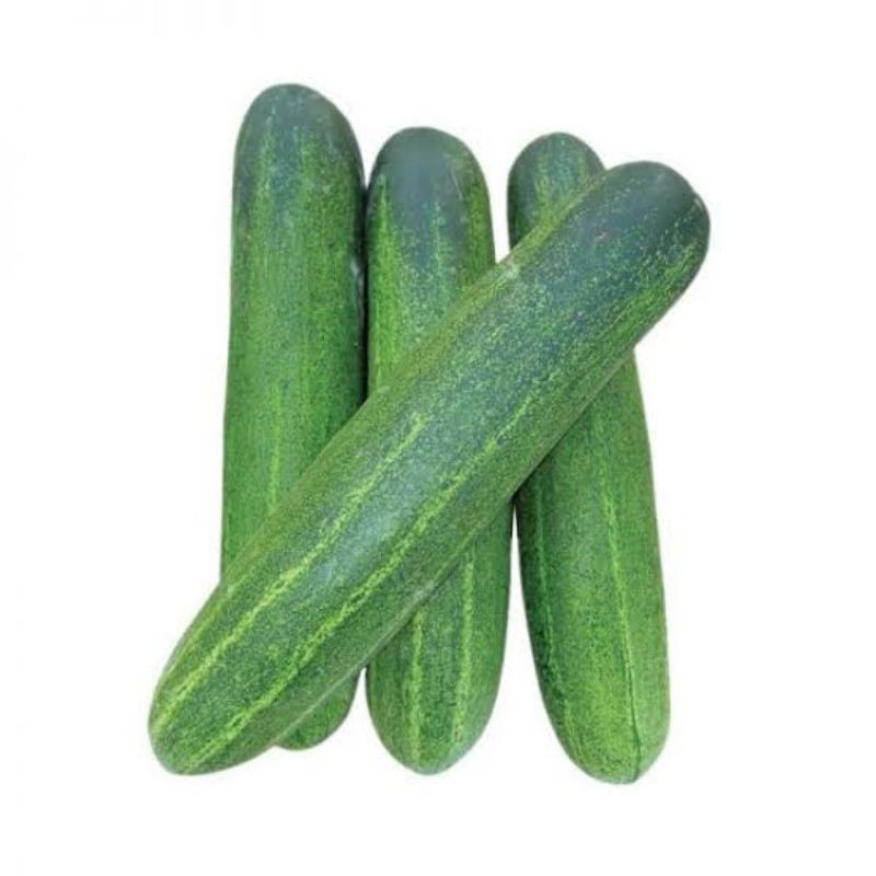 

timun acar / timun lalap 1kg