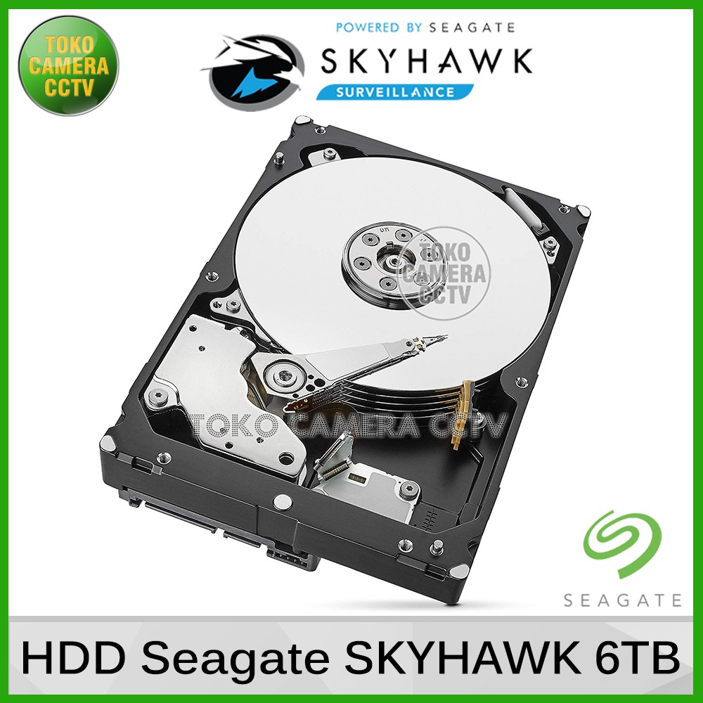 Hard Disk Seagate Skyhawk 6TB Khusus CCTV / Harddisk Seagate Skyhawk 6 Terra