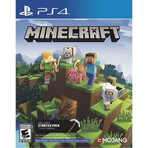 PS4 Minecraft Starter Pack