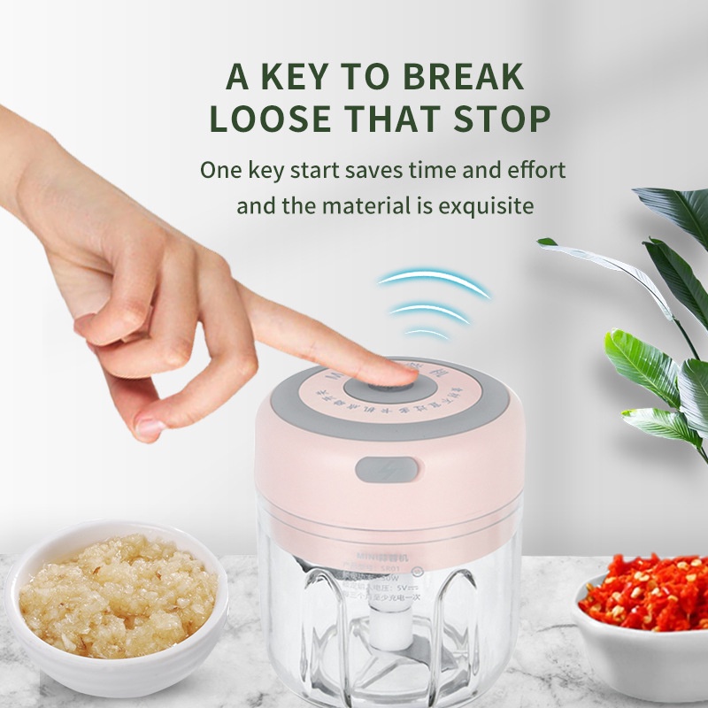 Mini Food Chopper Blender Bumbu Manual / Speedy Choper Mini Blender