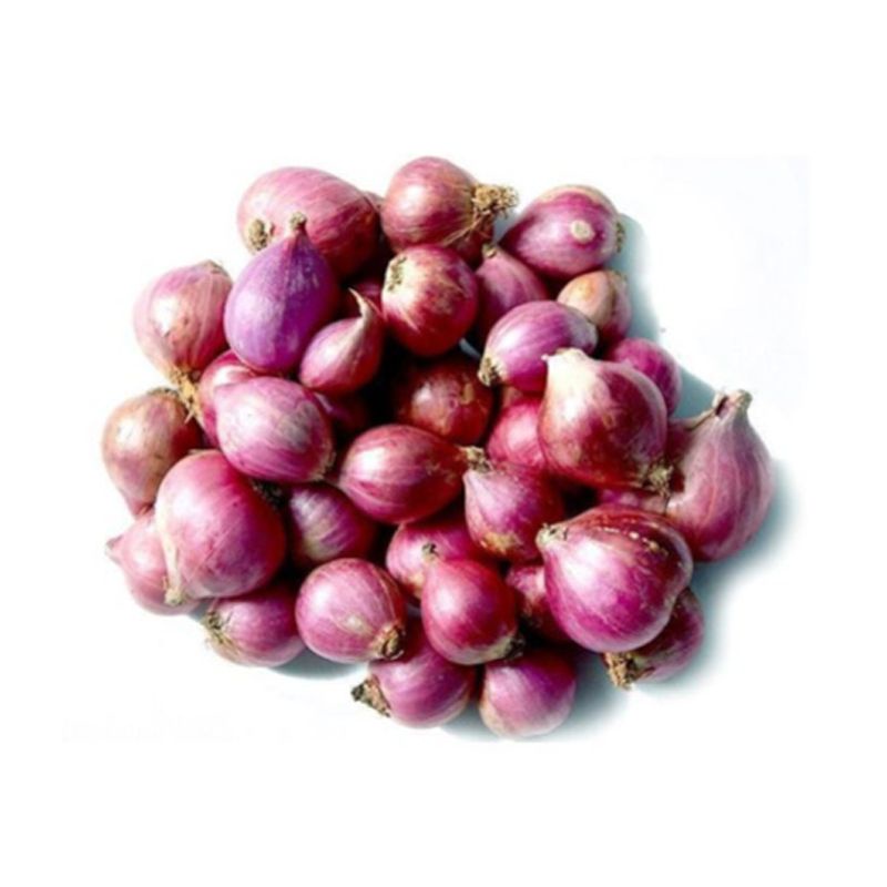 

bawang merah brebes