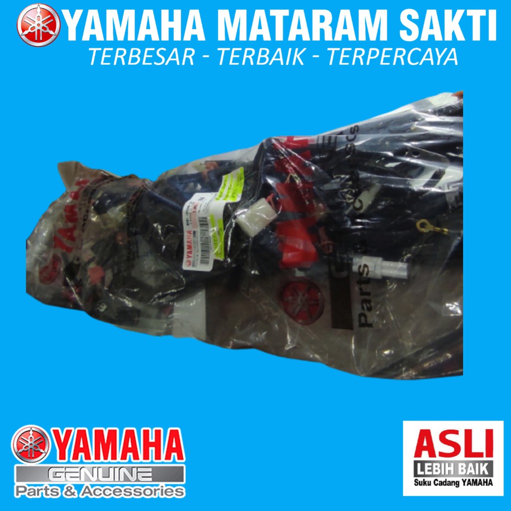 WIRE HARNESS ASSY / KABEL BODY SET FREEGO / B5D-H2590-00