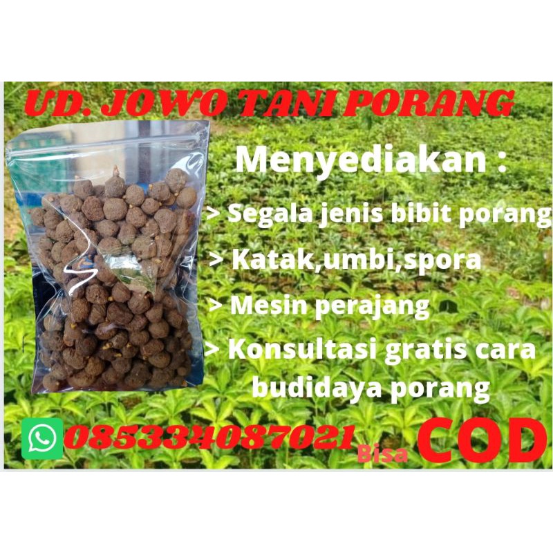 Katak porang mini isi 1000 perkg kemasan 250 gram