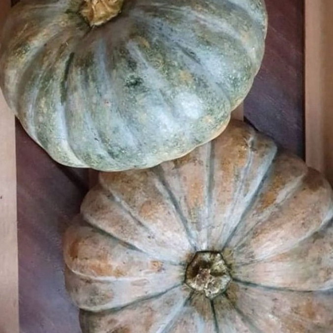 

LABU PARANG/LABU PUMPKIN 1 BUAH FRESH