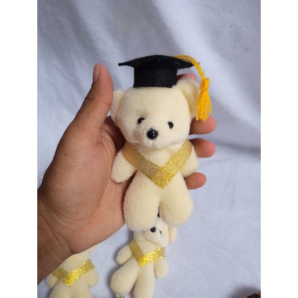 Boneka tedy mini / boneka wisuda / boneka hampers wisuda