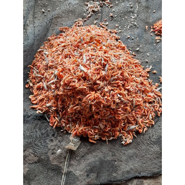 

udang kering asin