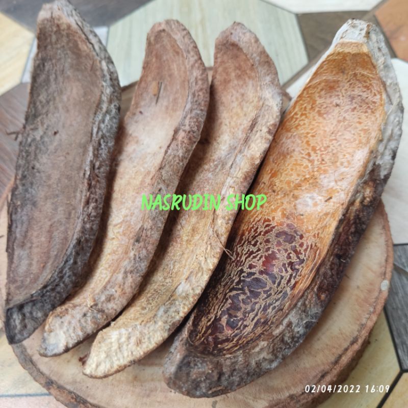 

[Fresh] KULIT BUAH MAHONI KERING / KULIT BIJI MAHONI UNTUK OBAT HERBAL DAN KERAJINAN